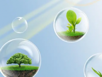 這些甲醛的危害你知道嗎？