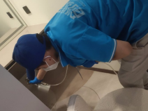 地毯也會引起甲醛超標嗎？